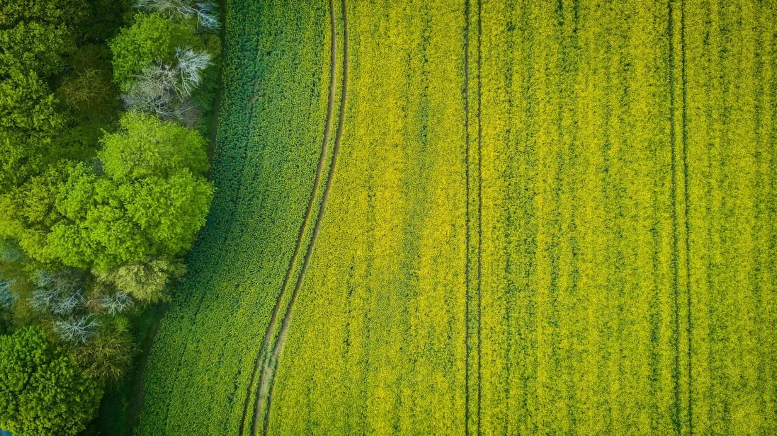 Benachteiligte Gebiete für Solarpark und Photovoltaik-Freiflächen