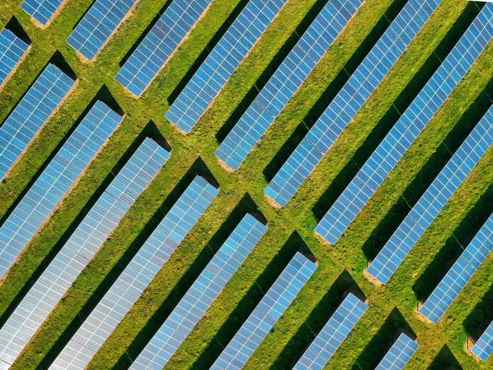 Solarpark auf Ackerland mit Photovoltaik-Modulen auf einer Freifläche